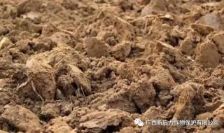 什么是酸性土壤和碱性核 什么是酸性土壤